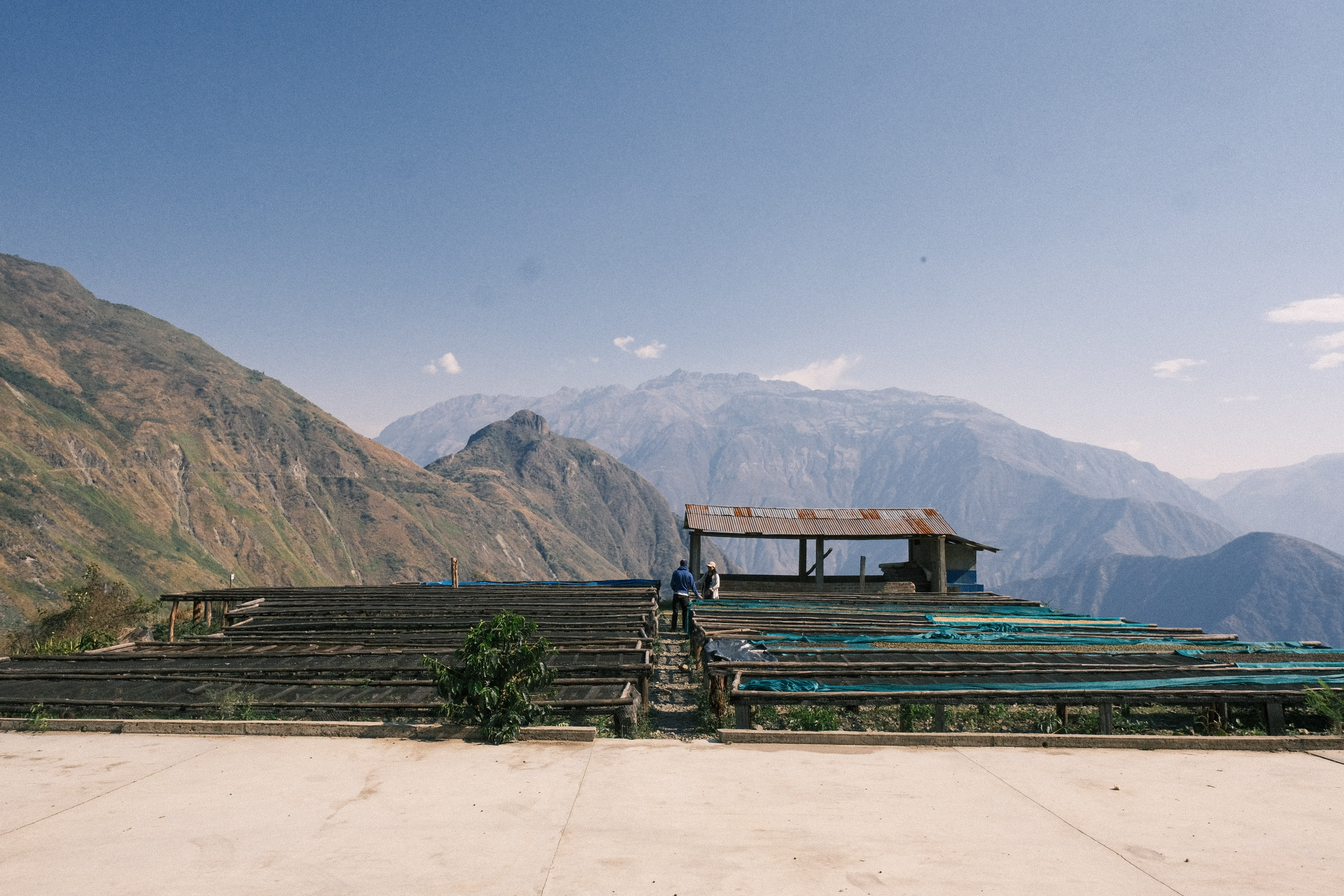 Why Peru Deserves Recognition in the Coffee World