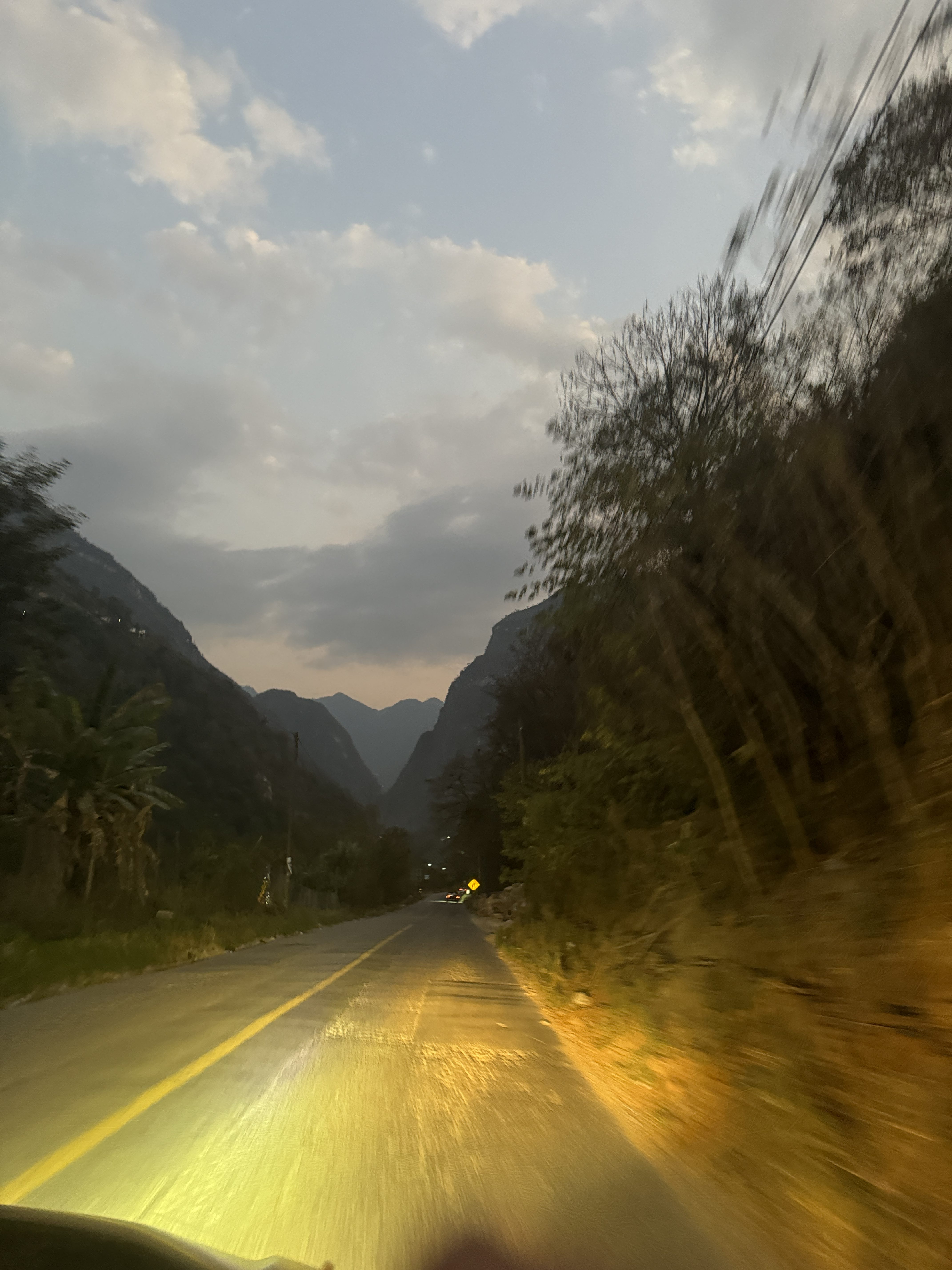 Coffee; combed over, and forgotten.